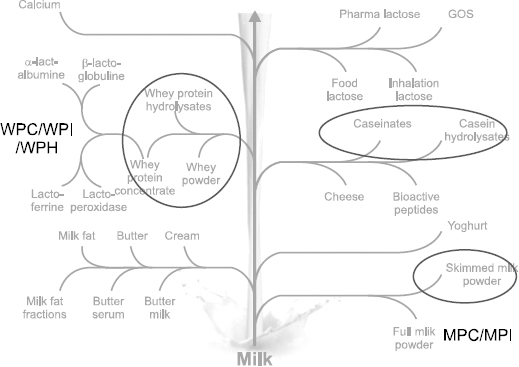 JCN_8_045_fig_3.jpg