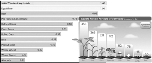 JCN_8_045_fig_4.jpg